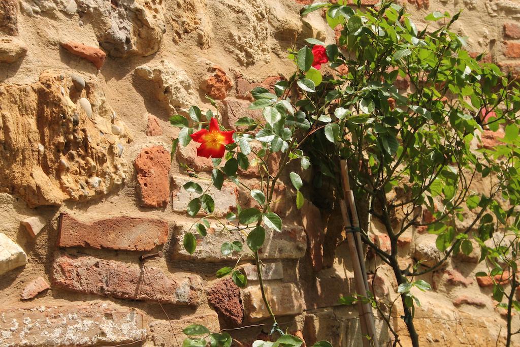 La Corte Segreta Montepulciano Stazione Buitenkant foto